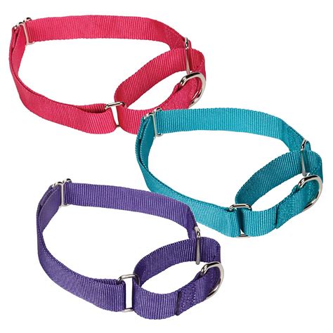 training collars for dogs.